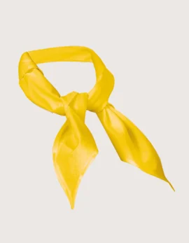 “Aton” Solid Color Catering Handkerchief (Pack of 3)